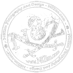 N8Zim Photography & Design